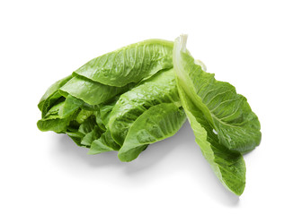 Fresh ripe cos lettuce on white background