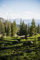 Landscape mountain view near Piney Lake in Colorado during summer. 