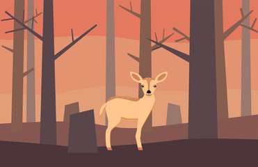 Deer in a dry forest vector image