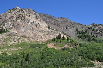 Fototapeta na wymiar Utah mountain in summer