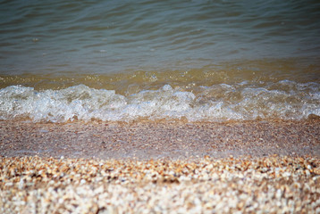 Marine background. The wave rushes to the sandy shore with sMarine background. The wave rushes to the sandy shore with seashells. Abstract background. Selective focus. Close-up, side view, copy space.