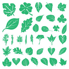 Leaf Foliage Green Ecology Nature Set