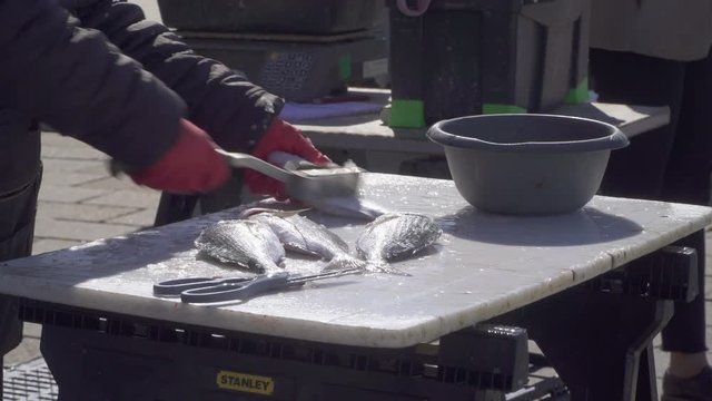 Fish monger removing fish scales on a market in Marseille