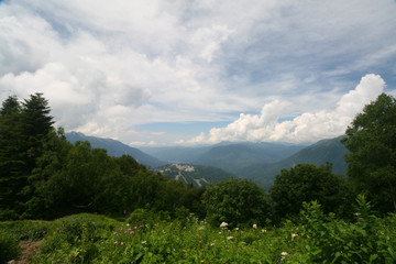 Flowering meadows in the Caucasus mountains. On the way to Bzerpinskiy karniz, Sochi.