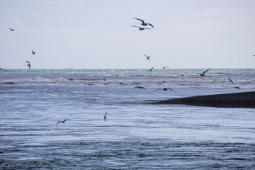 Diamond beach at Jokulsaron lagoon, Iceland