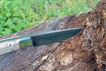 A close up picture of a fixed blade Damascus knife on an old tree stump with bokeh background. The...