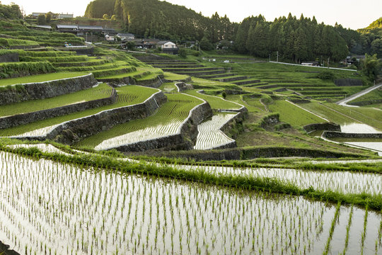 11 703 最適な 棚田 画像 ストック写真 ベクター Adobe Stock 11 703 最適な 棚田 画像 ストック写真 ベクター Adobe Stock