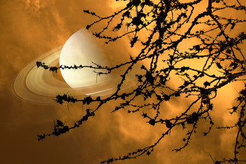 Saturn near earth on night sky back silhouette dry branch tree