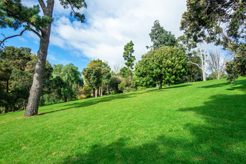 Fototapeta na wymiar Beautiful green lawn and trees in park with blue sky and clouds as background. Copy space for text. Footscray Park, VIC Australia.