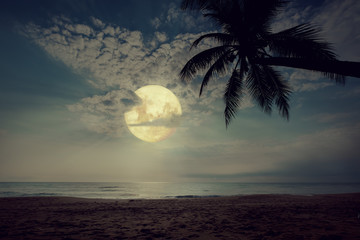 Beautiful fantasy tropical beach with star in night skies, full moon - Retro style artwork with vintage color tone.