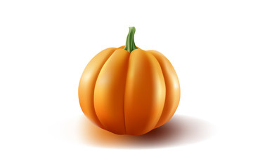 Pumpkin looks outstanding. From white background