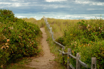 Fototapeta na wymiar Path to the beach, Nantucket