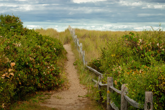 Path To The Beach, Nantucket