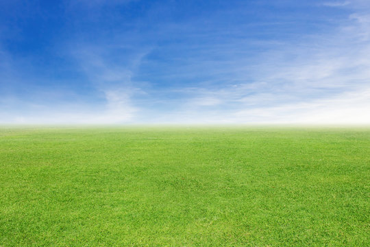 grass and sky background © releon8211