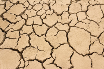 Dry cracked clay surface.