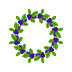 blueberry wreath vector