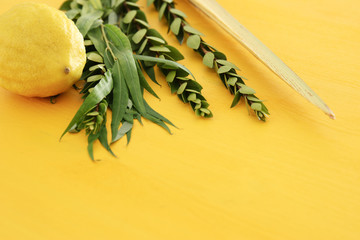 Jewish festival of Sukkot. Traditional symbols (The four species): Etrog, lulav, hadas, arava.