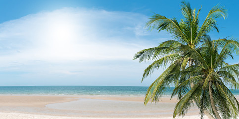 Obraz na płótnie Canvas Coconut palms on the beach