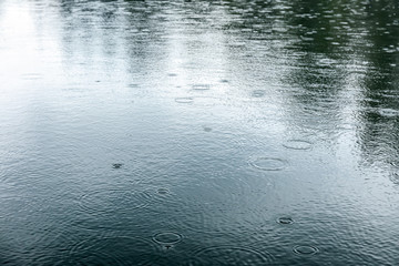 Fototapeta na wymiar rain drops rippling on lake surface with surrounding trees reflections