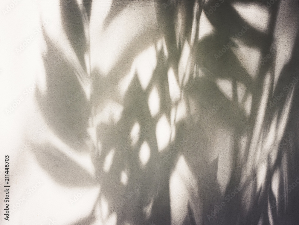 Poster tree leaves shadow on wall nature abstract background
