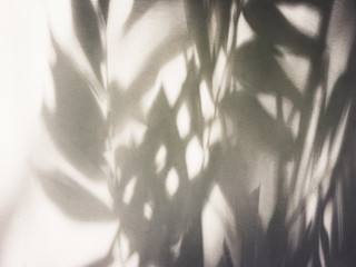 Tree leaves shadow on wall Nature Abstract background