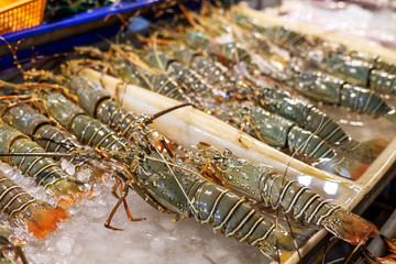 Fresh lobsters on ice for sale at local market in Phuket, Thailand