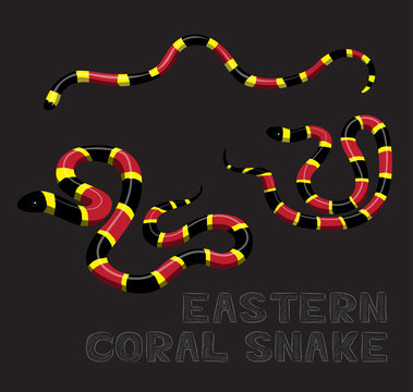 Snake Eastern Coral Cartoon Vector Illustration