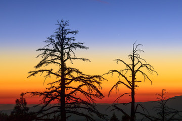 Fototapeta na wymiar Yosemite High Country Sunset, California, USA