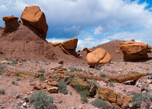 Sandstone Blocks and Wolverine Petrified Forest
