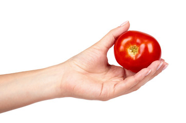 Fresh organic red tomato with hand isolated on the white background.