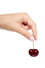 Sweet ripe cherry with hand isolated on white background.