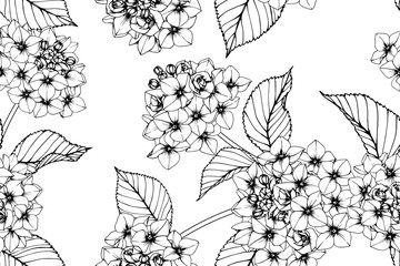 Seamless Hydrangea flower pattern background.