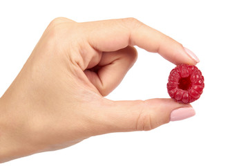 Organic fresh raspberry with hand isolated on a white background.