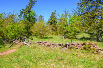 Fototapeta na wymiar Hiking trail in a pasture in the spring