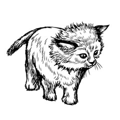 Obraz na płótnie Canvas freehand sketch illustration of little cat, kitten
