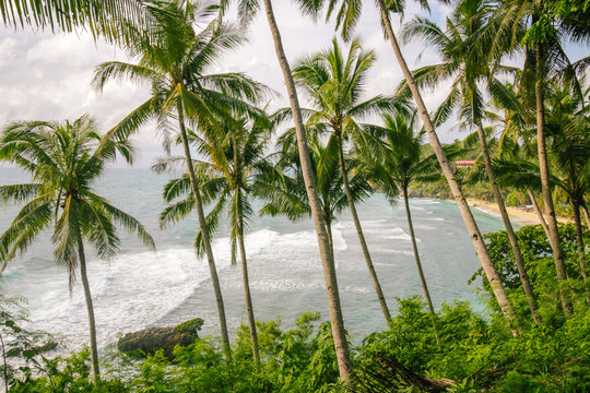 Strong winds blowing palm trees. Strong waves crashing in the seashore. Guimaras tropical island in the Philippines.