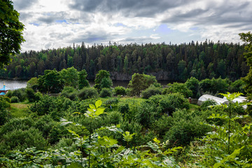 Fototapeta na wymiar The fruit garden of the island, respectively, apple trees to 120 years. Valaam is a cozy and quiet piece of land, the rocky shores of which rise above the lush waters of lake Ladoga