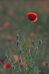 Przedszkole © Tomek Kiecana