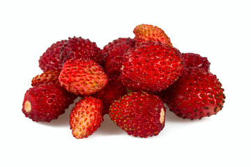 wild strawberries isolated on white