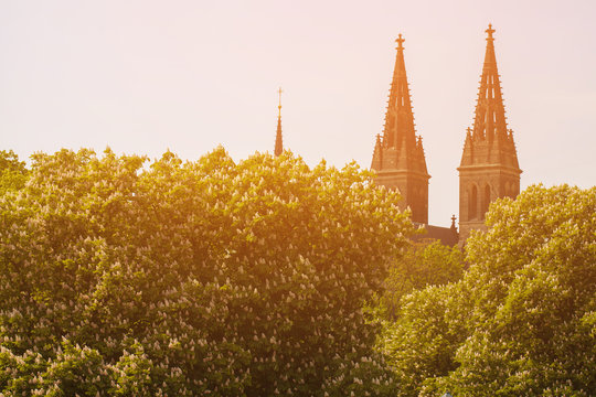 The towers of the Cathedral peeking out from behind the trees. Spires of the building in the Gothic style are buried in greenery. The bright sun shines on the towers of a medieval building in Prague.