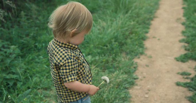 Little toddler boy in nature holding a dandelion