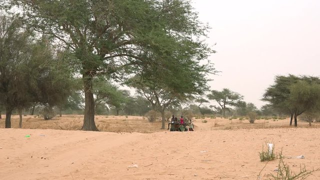 Heat African savanna landscape - a cart in the background