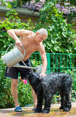 Owner bluffs with his dog and pours it with water