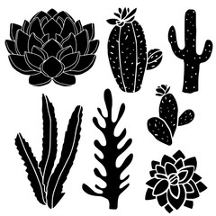 Cacti, succulents, potted plants