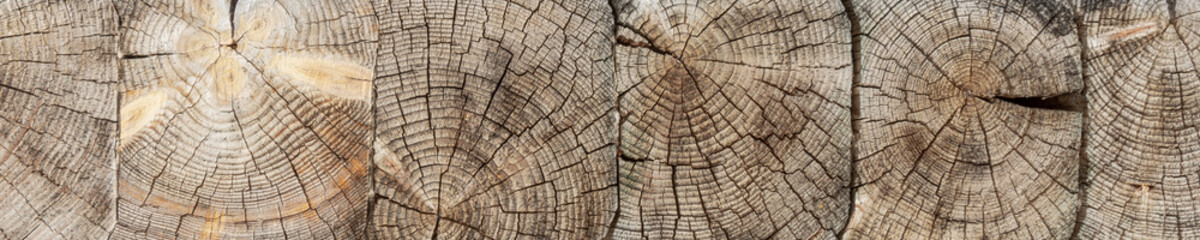 Fototapeta premium The logs are stacked horizontally. The texture of the transverse surface.