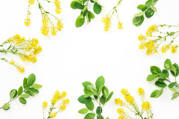Yellow flowers, green leaves on white background, flat lay, top view
