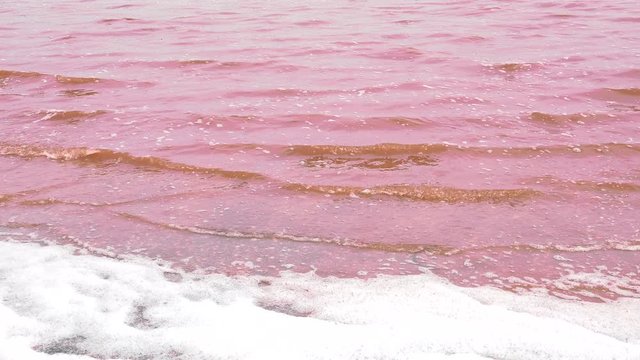 Water of pink lake Retba - Dakar region, Senegal, Africa