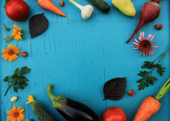 Fresh harvested vegetables (beetroot, carrots, pepper, tomatoes, eggplant, cucumber, parsley, basil, young garlic and hazel): nutrient-rich foods concept, top view background with copy space