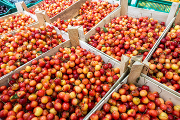 cherry on the market, in a wooden box