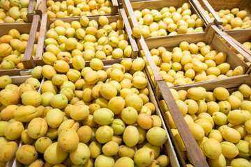 ripe apricots on the market